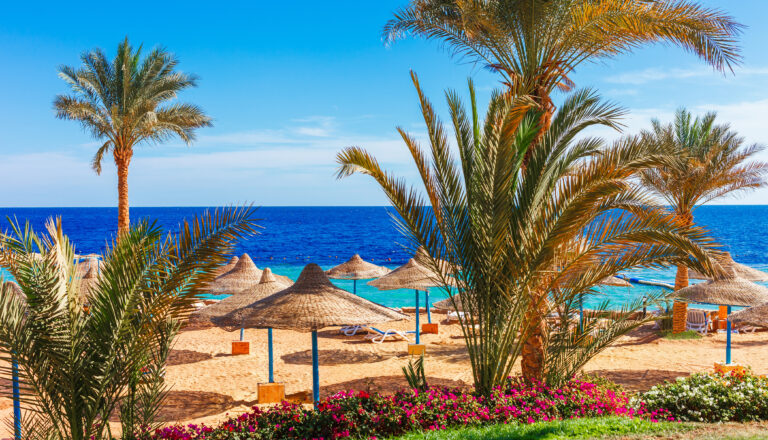 Sharm el Sheikh Last Minute