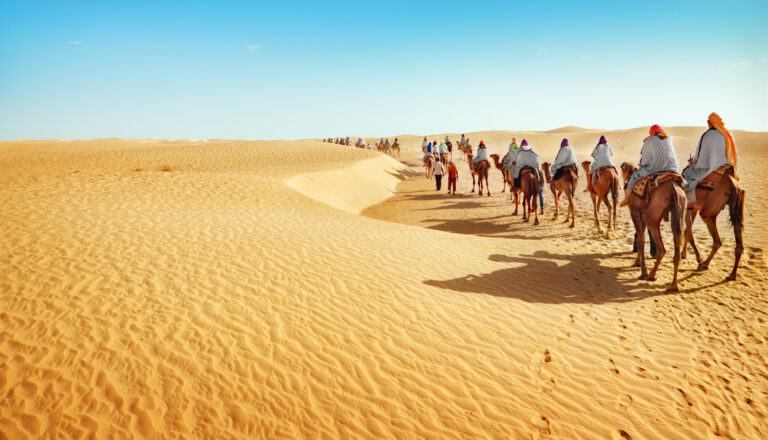 sharm-el-sheikh-sentido-reef-oasis-senses-resort-scaled